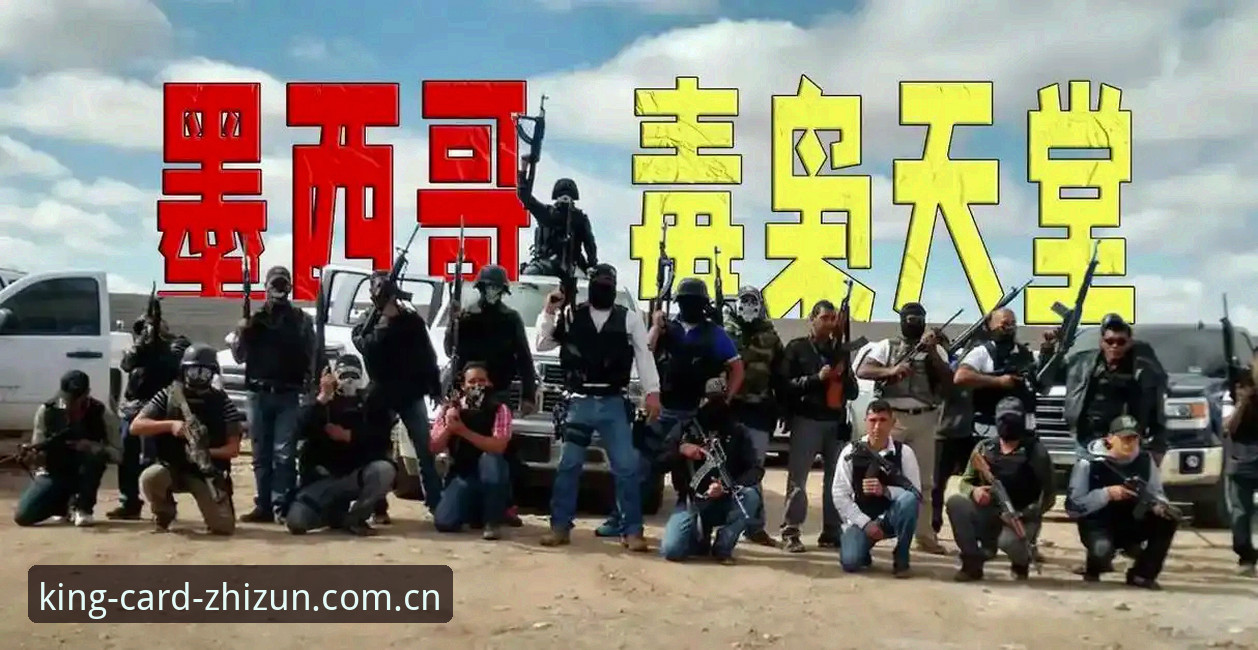 至尊棋牌官方入口iOS版 为什么世界杯安保阵容缩减,英国仅派三名警员赴美?